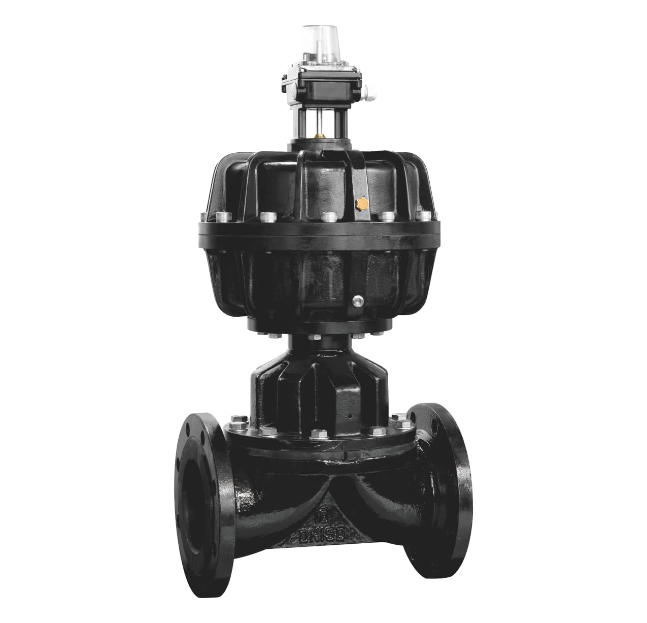 Pneumatic Diaphragm Valve