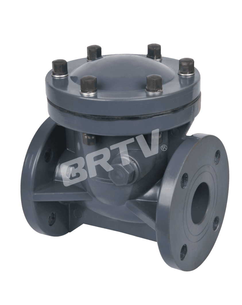 Swing Check Valve - Image 1