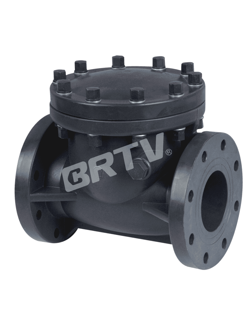 Swing Check Valve thumbnail 2