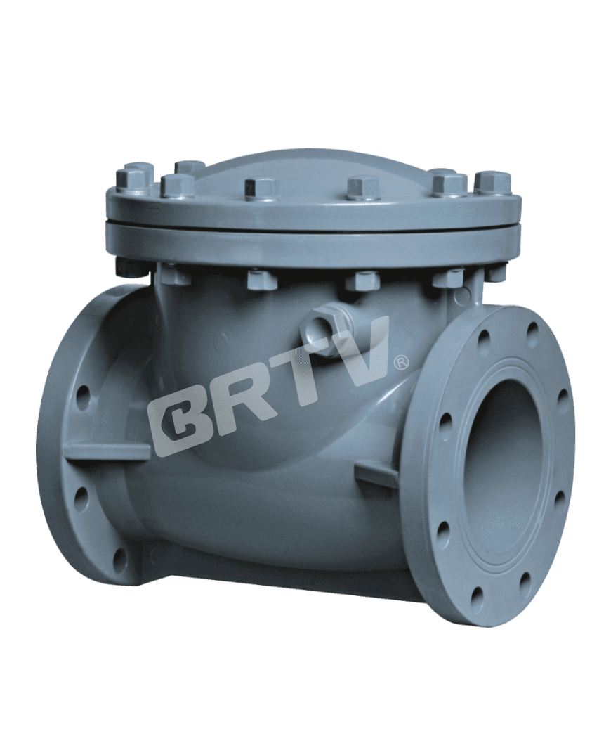 Swing Check Valve thumbnail 3