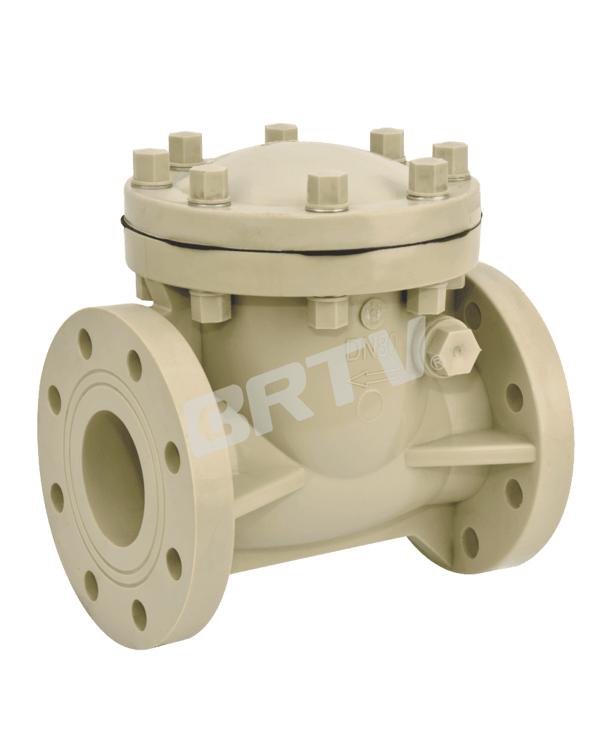Swing Check Valve thumbnail 4