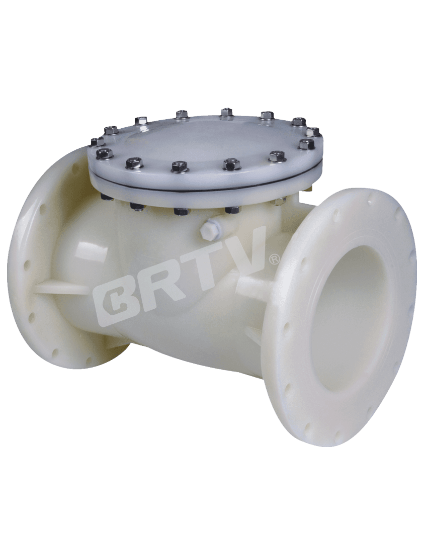 Swing Check Valve thumbnail 5