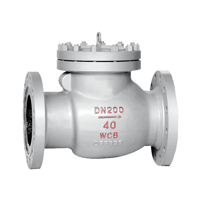 Swing Check Valve