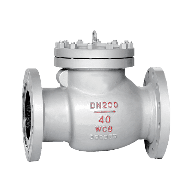 Swing Check Valve